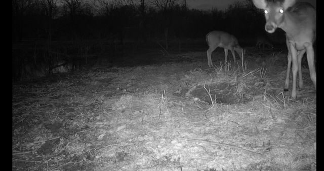 0000 County Road 2610, Bonham, TX 75418