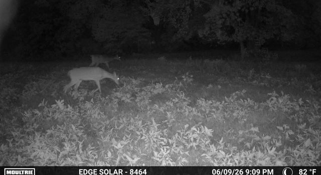 0000 County Road 2610, Bonham, TX 75418
