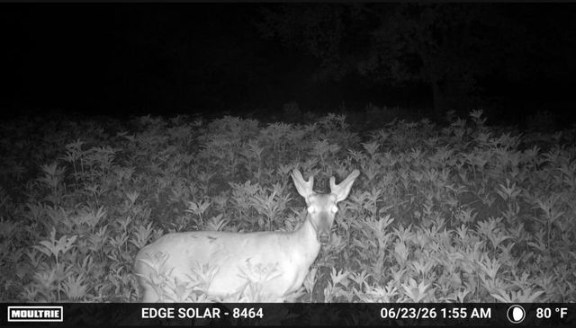 0000 County Road 2610, Bonham, TX 75418