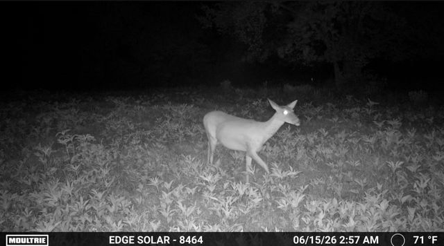 0000 County Road 2610, Bonham, TX 75418