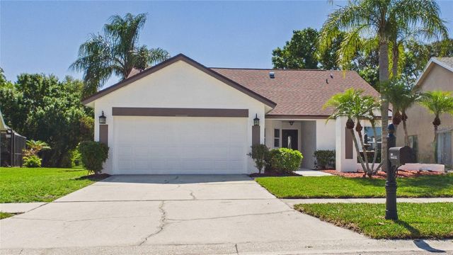 8609 BOYSENBERRY DRIVE, Tampa, FL 33635