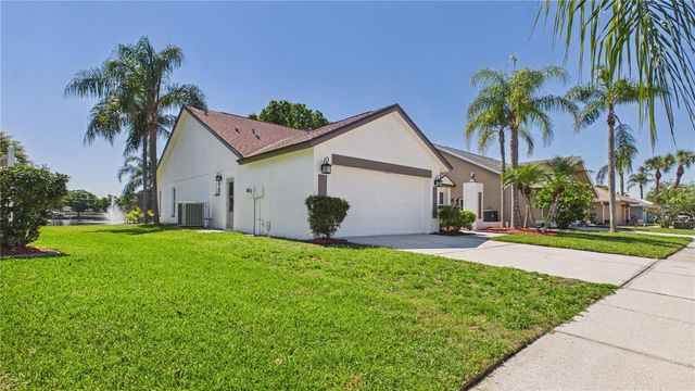 8609 BOYSENBERRY DRIVE, Tampa, FL 33635