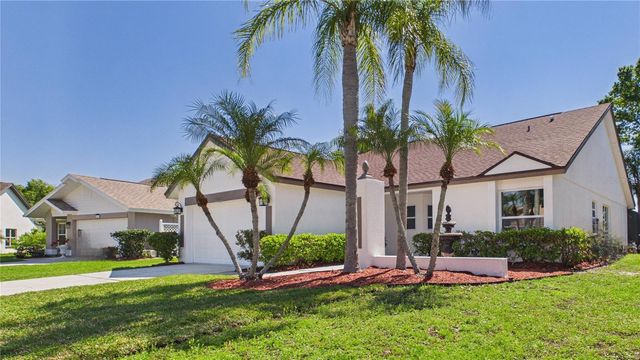 8609 BOYSENBERRY DRIVE, Tampa, FL 33635