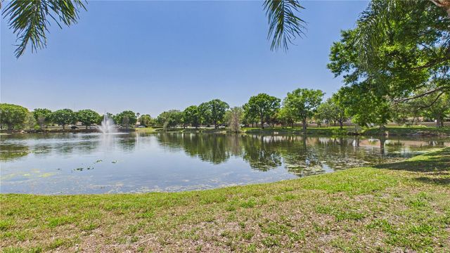 8609 BOYSENBERRY DRIVE, Tampa, FL 33635