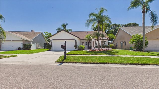 8609 BOYSENBERRY DRIVE, Tampa, FL 33635