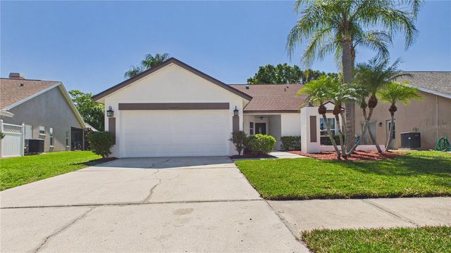 8609 BOYSENBERRY DRIVE, Tampa, FL 33635
