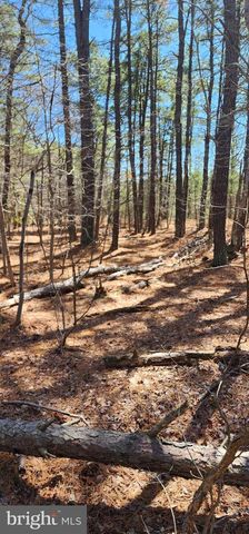 0 W FLEMING PIKE, Hammonton, NJ 08037