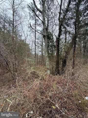 0 W FLEMING PIKE, Hammonton, NJ 08037