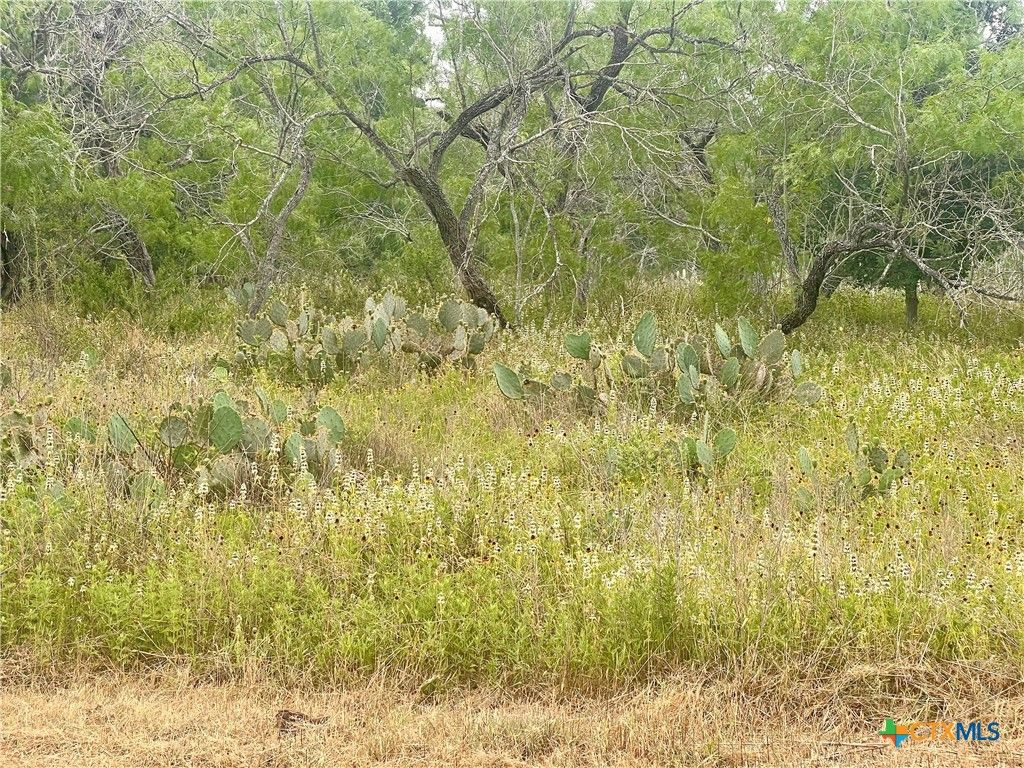 Lot 14 Wisteria Lane, Smiley, TX 78159