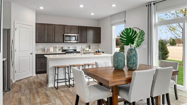 995 Sapphire Lane, Montgomery, IL 60538