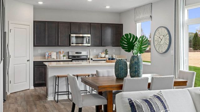 995 Sapphire Lane, Montgomery, IL 60538