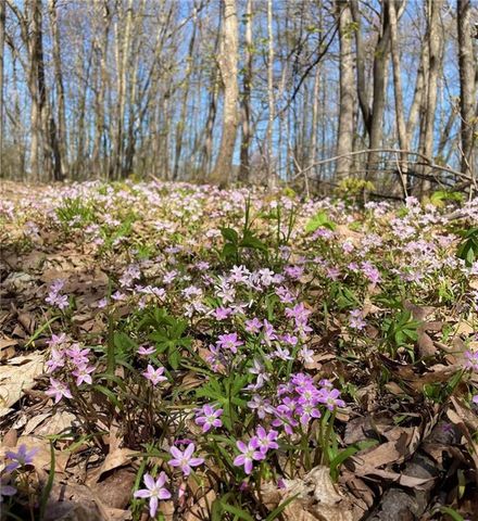 N2460 Oakdale Drive, Fall Creek, WI 54742