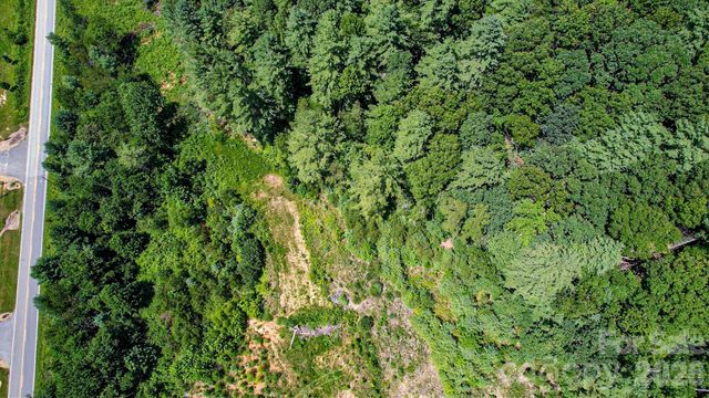 99999 Mills Gap Road 2 Lots, Fletcher, NC 28732