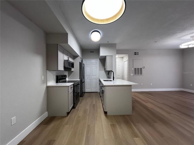 13102 MULBERRY PARK DRIVE 917, Orlando, FL 32821