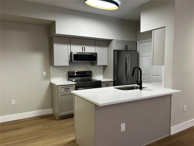 13102 MULBERRY PARK DRIVE 917, Orlando, FL 32821