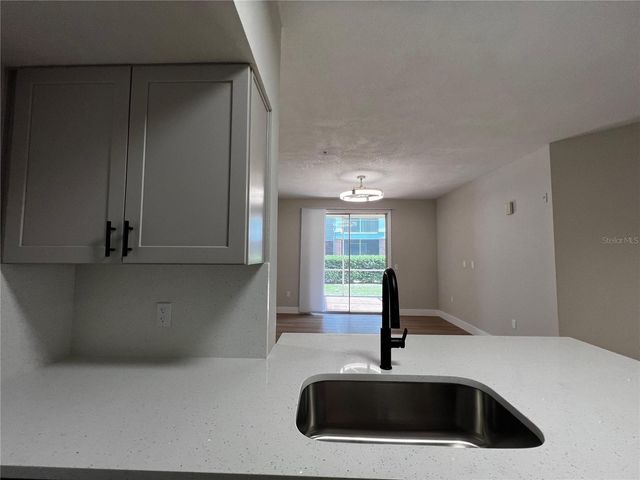 13102 MULBERRY PARK DRIVE 917, Orlando, FL 32821