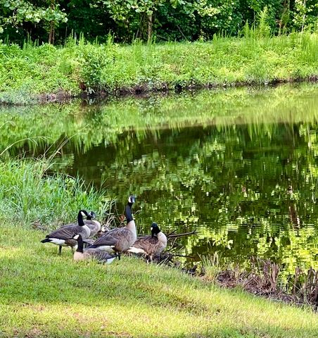 385 Canterbury Drive, Evans, GA 30809