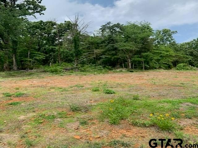 000 CR 1113, Tyler, TX 75703