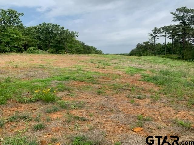 000 CR 1113, Tyler, TX 75703