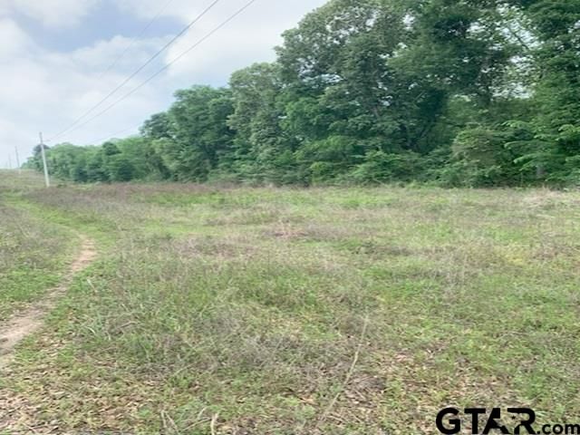000 CR 1113, Tyler, TX 75703