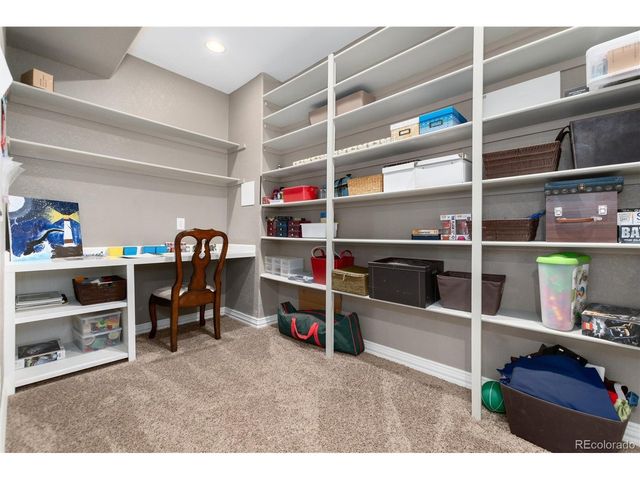 10480 Skyreach Rd, Highlands Ranch, CO 80126