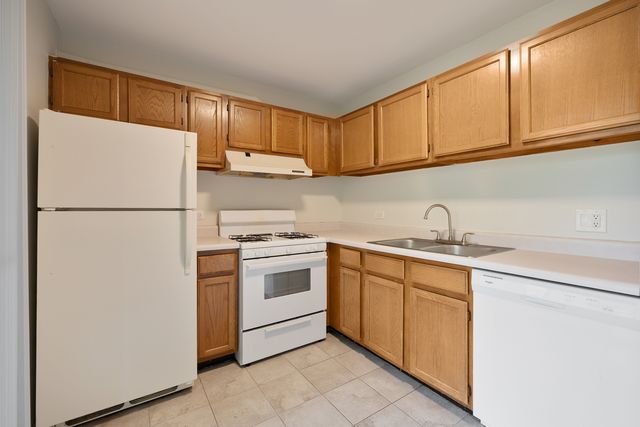 546 E Shag Bark Lane B, Streamwood, IL 60107