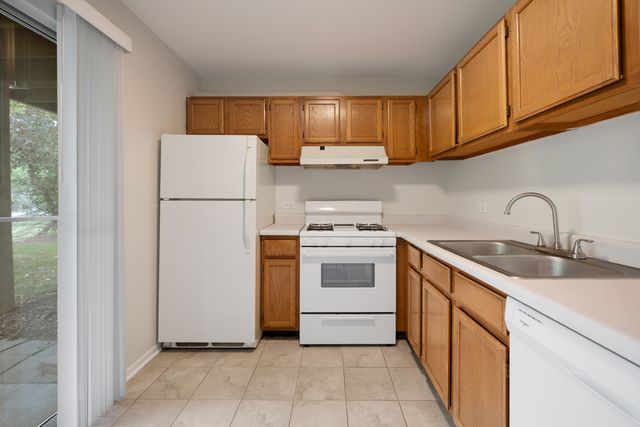 546 E Shag Bark Lane B, Streamwood, IL 60107