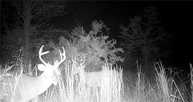 33784 W 168th Street, Lawson, MO 64062