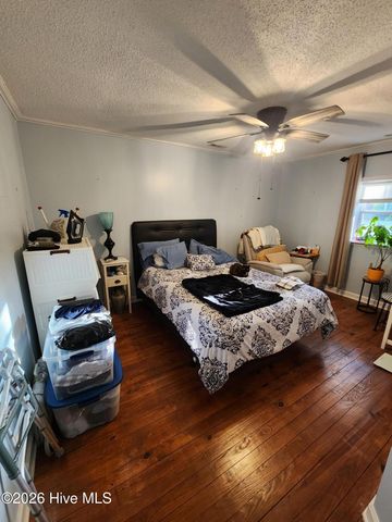 2523 Belgrade Swansboro Road, Maysville, NC 28555