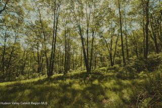 0 Benton Hollow Road, Liberty, NY 12754