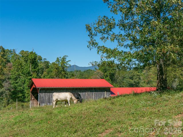 1050 Dale Road, Spruce Pine, NC 28777