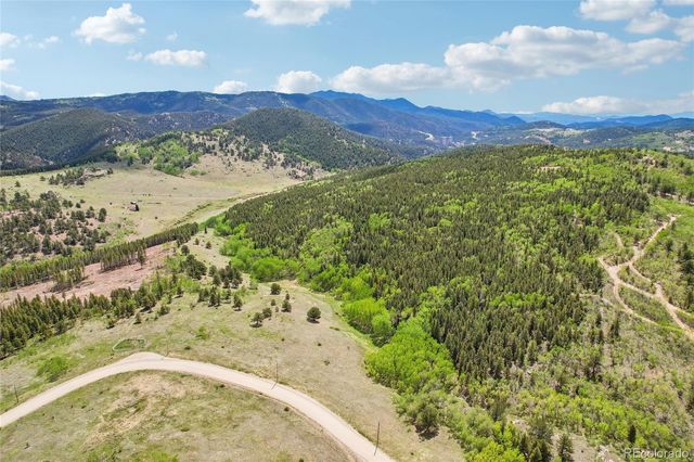 0001 Mac Rock Road, Central City, CO 80427