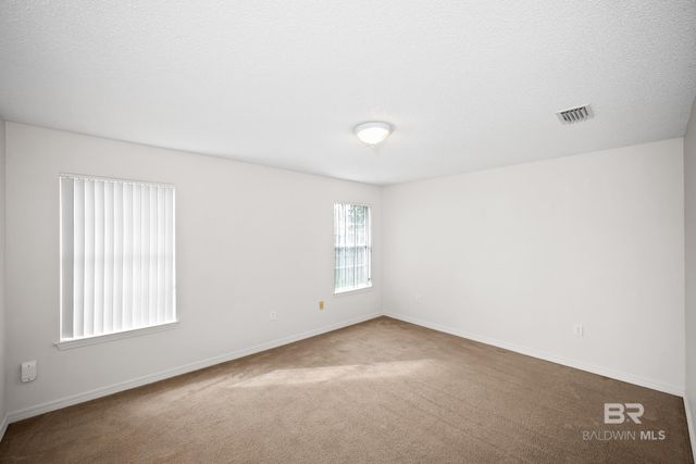 33971 Zuzu Lane, Lillian, AL 36549