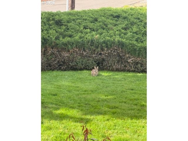 8003 Se EVERGREEN Hwy, Vancouver, WA 98664