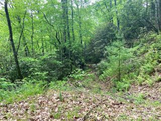 Lot 10 Mystic Forest Way 10, Bryson City, NC 28713