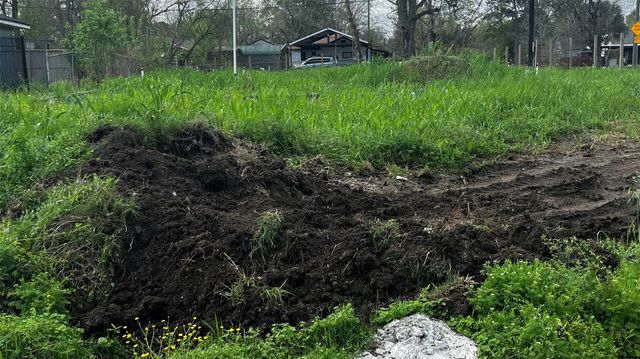 5102 Dieppe Street, Houston, TX 77033