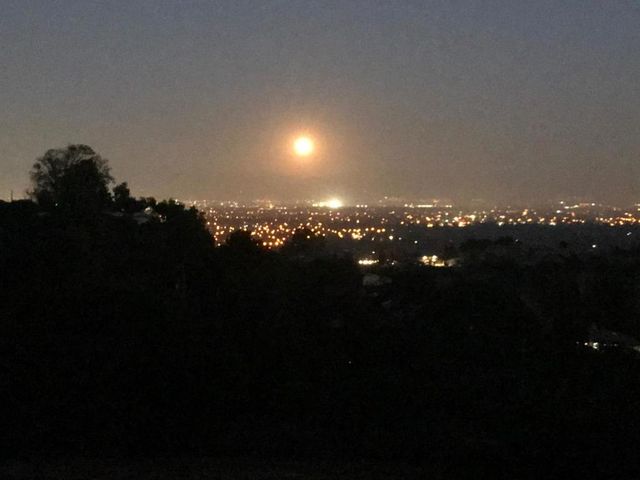 22301 Rolling Hills Road, Saratoga, CA 95070