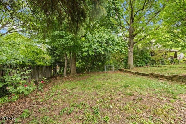 834 West Locust Street, Johnson City, TN 37604