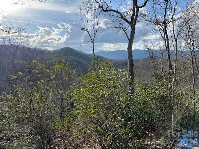 646 Fontana Ridge Road, Bryson City, NC 28713