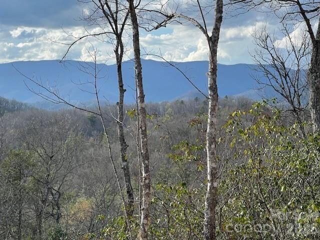 646 Fontana Ridge Road, Bryson City, NC 28713