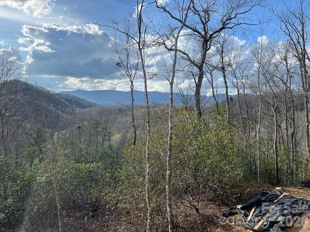 646 Fontana Ridge Road, Bryson City, NC 28713
