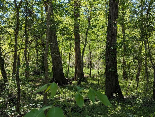 TBD County Road 149, Liberty, TX 77575