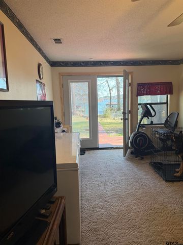 22571 WATERVIEW CIRCLE, Flint, TX 75762