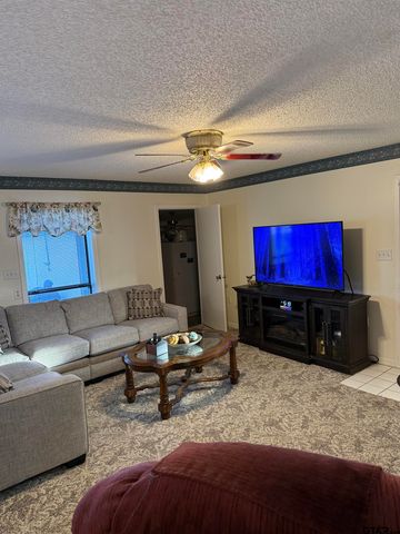 22571 WATERVIEW CIRCLE, Flint, TX 75762