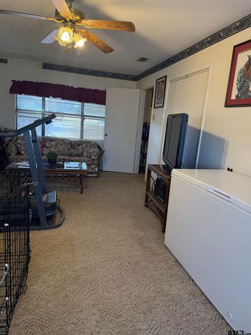 22571 WATERVIEW CIRCLE, Flint, TX 75762