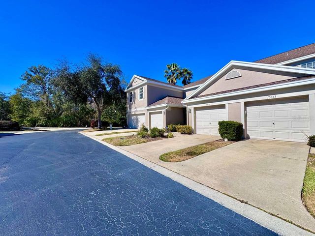 10035 TRANQUILITY WAY, Tampa, FL 33625