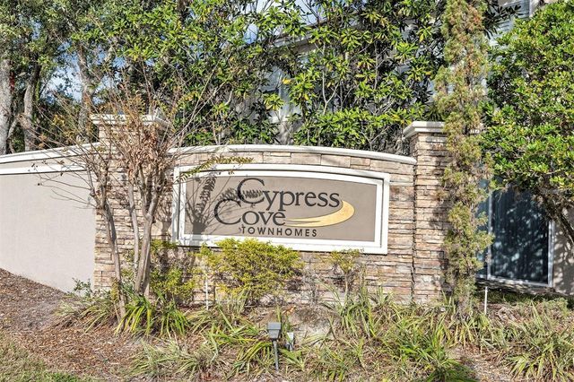 10035 TRANQUILITY WAY, Tampa, FL 33625