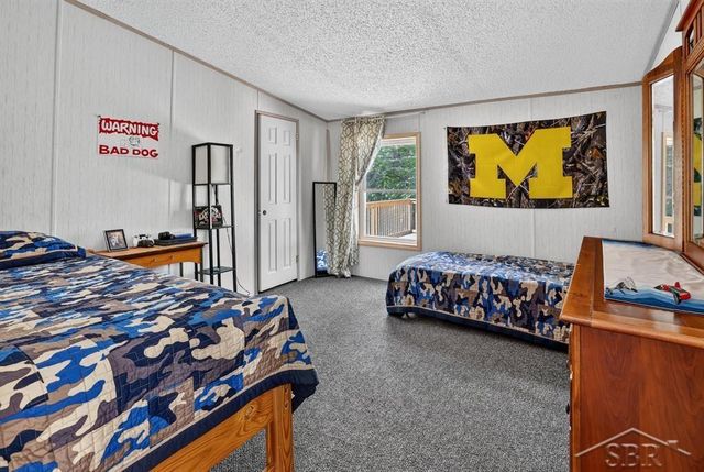 7059 Chain Lake Drive, Plainfield Twp, MI 48761