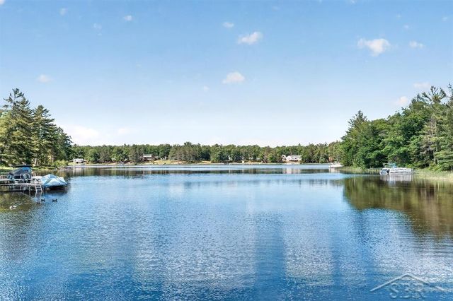 7059 Chain Lake Drive, Plainfield Twp, MI 48761