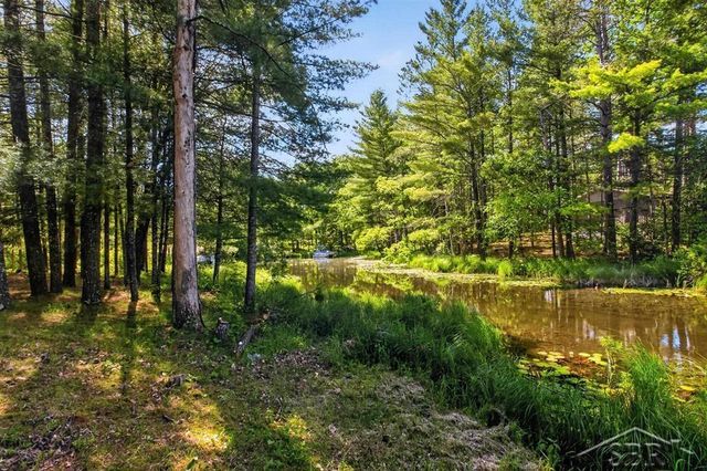 7059 Chain Lake Drive, Plainfield Twp, MI 48761